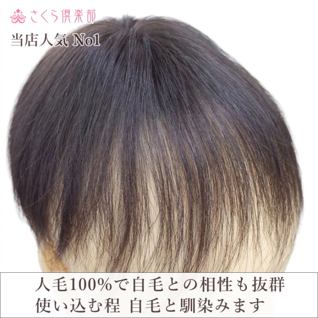 人毛部分ウィッグ女性用ヘアピース Sサイズ ナチュラルストレート 特殊
