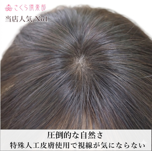人毛部分ウィッグ女性用ヘアピース Sサイズ ナチュラルストレート 特殊