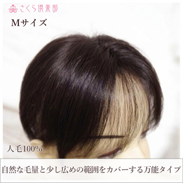 人毛100% 自然すぎる女性用部分ウィッグMサイズつむじ・分け目・白髪をふんわりカバー top-02n
