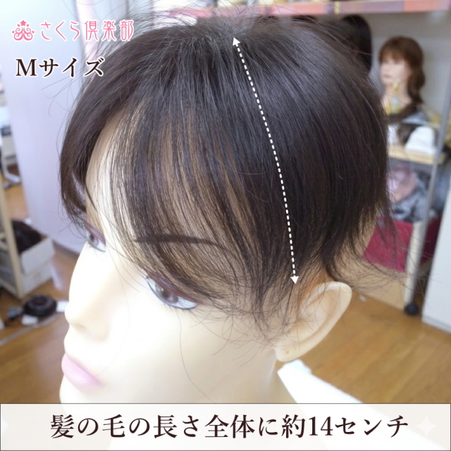 人毛100% 自然で快適過ぎる女性用部分ウィッグMサイズつむじ・分け目
