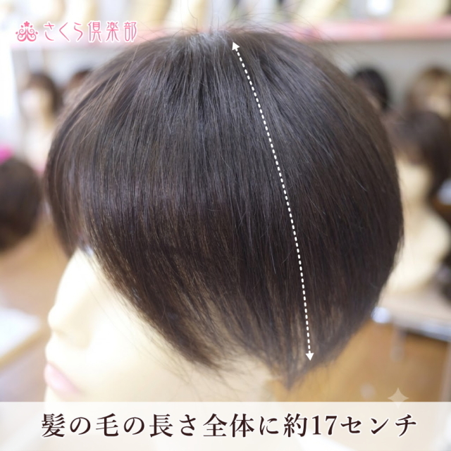 人毛100% 女性用部分ウィッグ Lサイズ（top-07）センター分け地肌付き