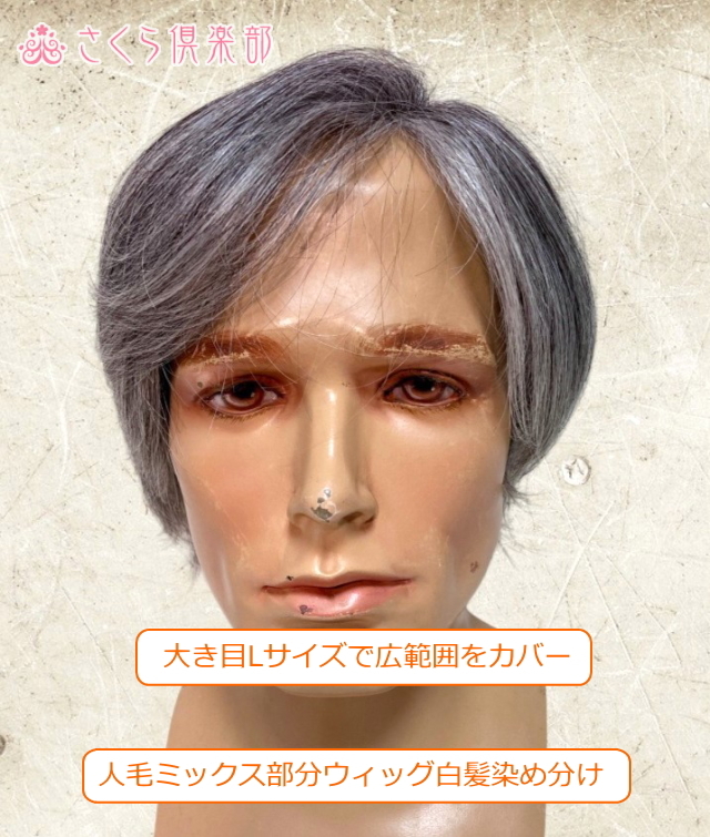 新品　カット調整済み　白髪２０％　人毛20X16㎝　男性用　かつら　少しウエーブ ウィッグ 白髪 男性用 メンズ 薄毛隠し 医療用ウィッグ かつら