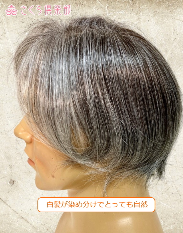 新品　カット調整済み　白髪２０％　人毛20X16㎝　男性用　かつら　少しウエーブ ウィッグ しらが 白髪 医療用 男性 かつら 医療用ウィッグ 送料