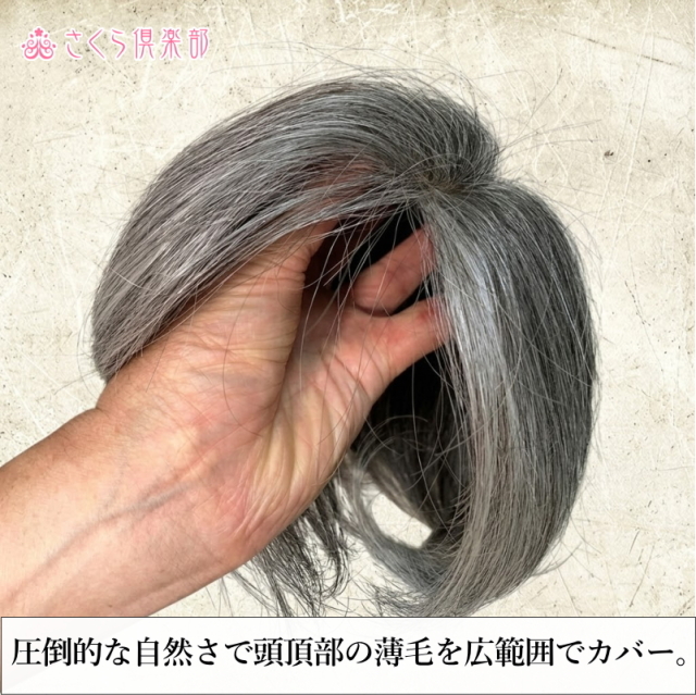 人毛100%女性用メンズ部分ウィッグLサイズ 白髪染め分け 総手植え製 左