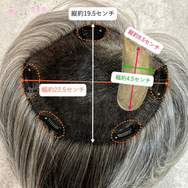 人毛100%女性用メンズ部分ウィッグLサイズ 白髪染め分け 総手植え製 左