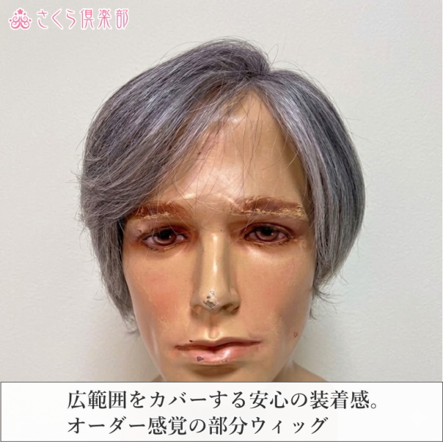 男性用メンズ部分ウィッグ人毛100% 総手植え製 左分け 白髪染め分け L