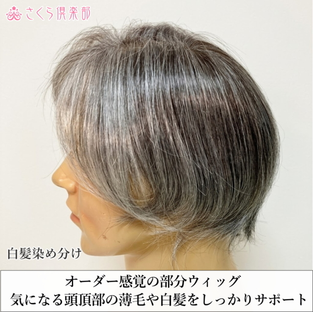 男性用メンズ部分ウィッグ人毛100% 総手植え製 左分け 白髪染め分け L