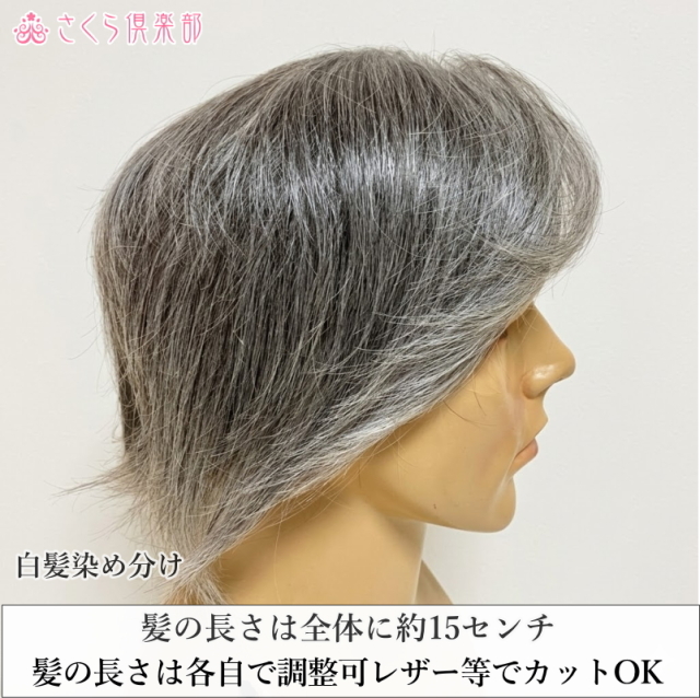 新品　カット調整済み　白髪2％　人毛　24X21㎝　男性部分　かつら 新品 カット調整済み 白髪2％ 人毛 24X21㎝ 男性部分 かつら 楽天市場