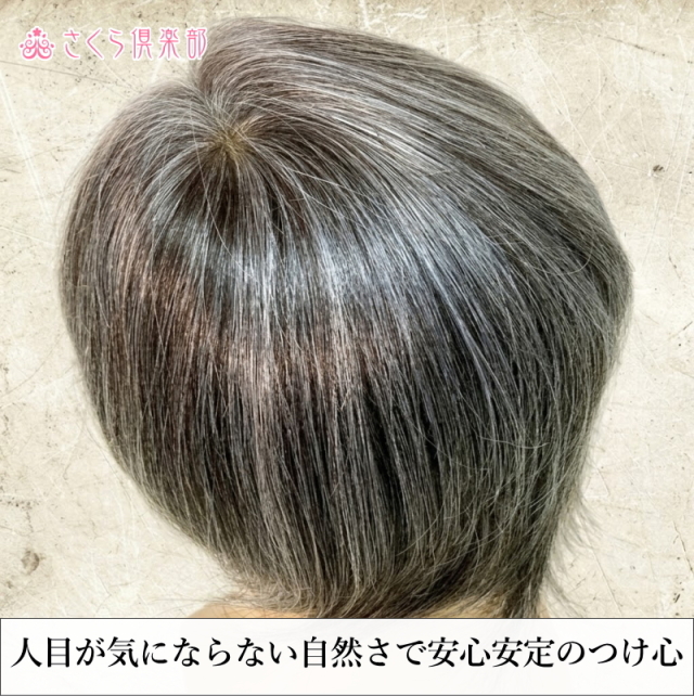 男性用メンズ部分ウィッグ人毛100% 総手植え製 左分け 白髪染め分け L