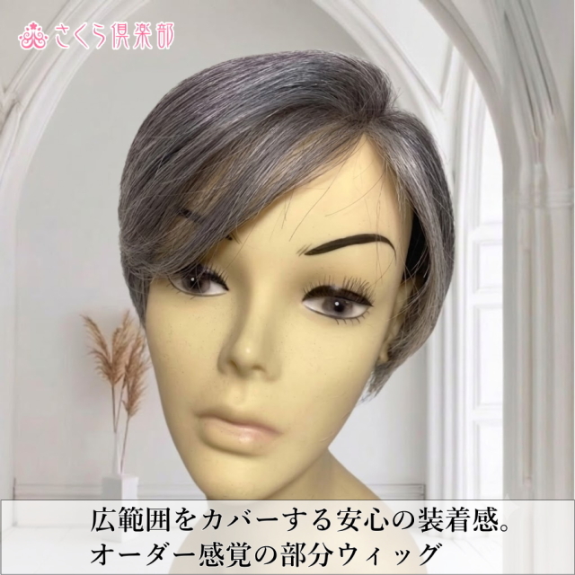 人毛100%女性用メンズ部分ウィッグLサイズ 白髪染め分け 総手植え製 左