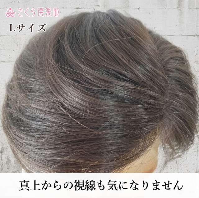 人毛100% 男性用部分ウィッグ Lサイズ（top-104）｜左分け・特殊人工