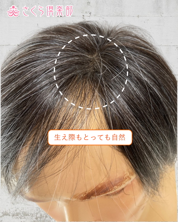 男性用メンズ部分ウィッグ人毛100% 左分け白髪10%入り top-104s