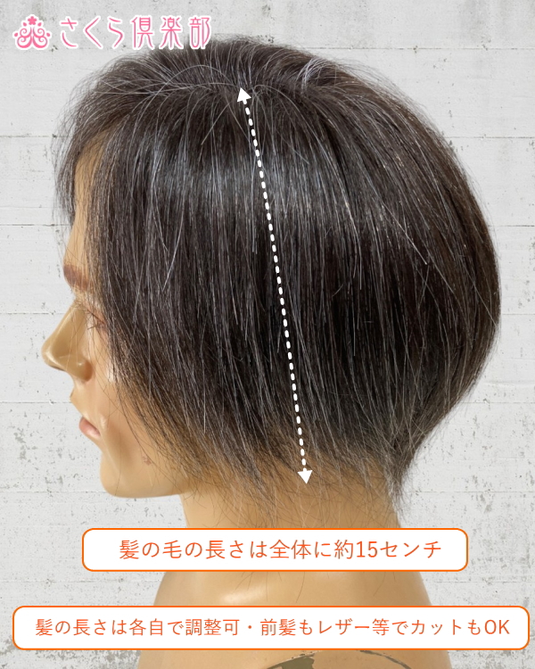 男性用メンズ部分ウィッグ人毛100% 左分け白髪10%入り top-104s