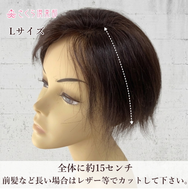 人毛100% 女性用部分ウィッグ Lサイズ（top-104）左分け・特殊人工皮膚
