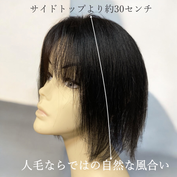 新品　人毛　セットレス　ウィッグ　人工皮膚付き　30㎝　ロング　Ｍサイズ 新品 人毛 セットレス ウィッグ 人工皮膚付き 30㎝ ロング Mサイズ