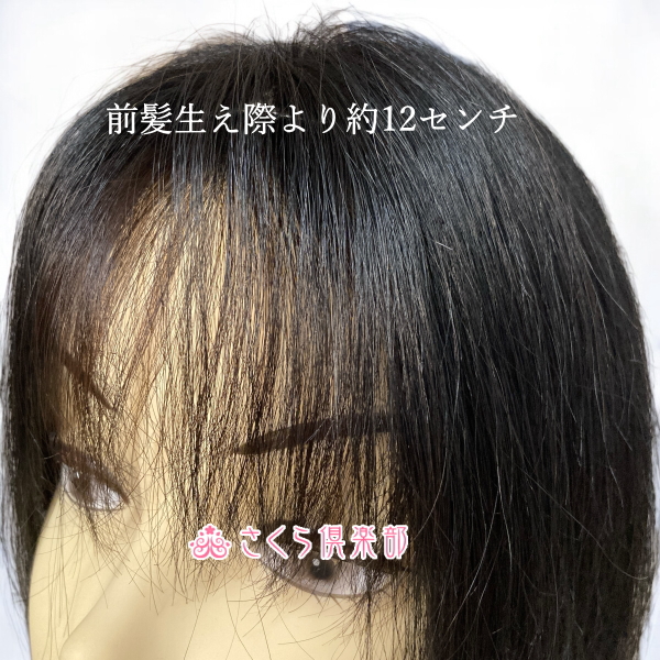 人毛部分ウィッグ 縦長ロング30センチ Mサイズ 医療用にも最適