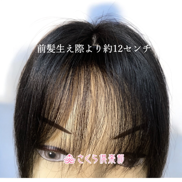 人毛部分ウィッグ 縦長ロング30センチ Mサイズ 医療用にも最適