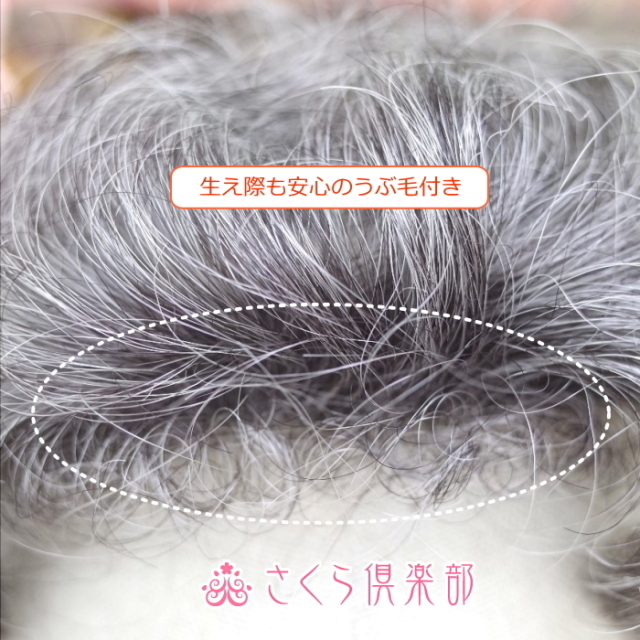 ウィッグ 新品中古 パーツ込み 30点以上 まとめ売り ※新品11点3万