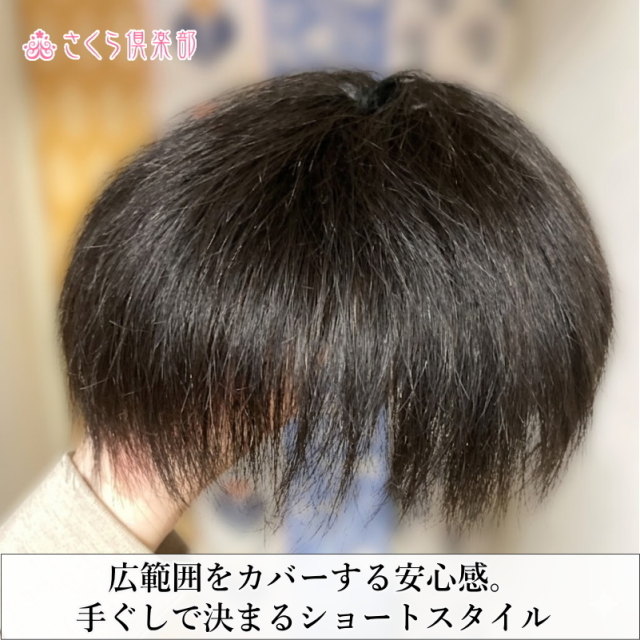 人毛100% 男性用部分ウィッグM. Lサイズ各種（top-300）ショートつむじ付き