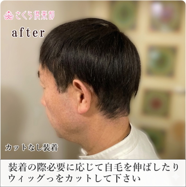 人毛100% 男性用部分ウィッグM. Lサイズ各種（top-300）ショートつむじ付き