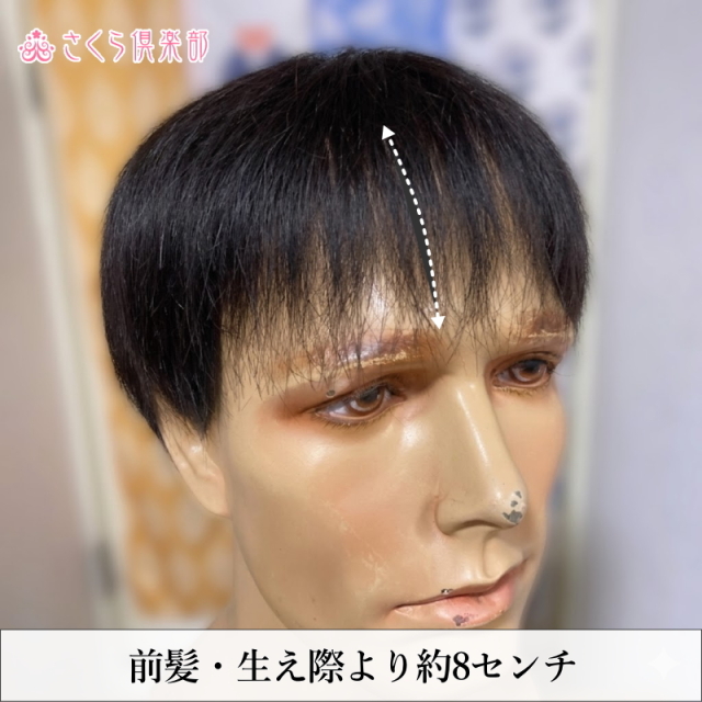 人毛100% 男性用部分ウィッグM. Lサイズ各種（top-300）ショートつむじ付き