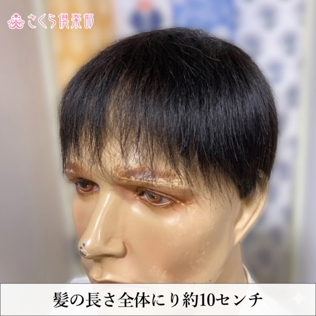 人毛100% 男性用部分ウィッグM. Lサイズ各種（top-300）ショートつむじ付き
