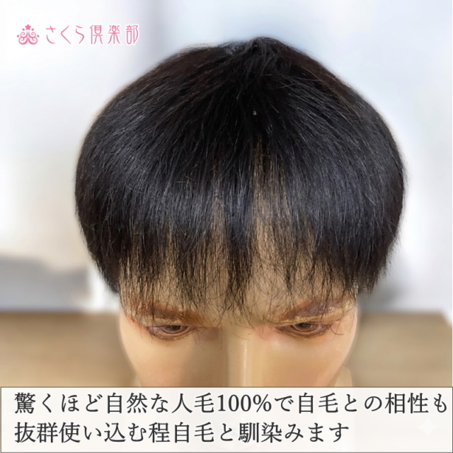 人毛100% 男性用部分ウィッグM. Lサイズ各種（top-300）ショートつむじ付き
