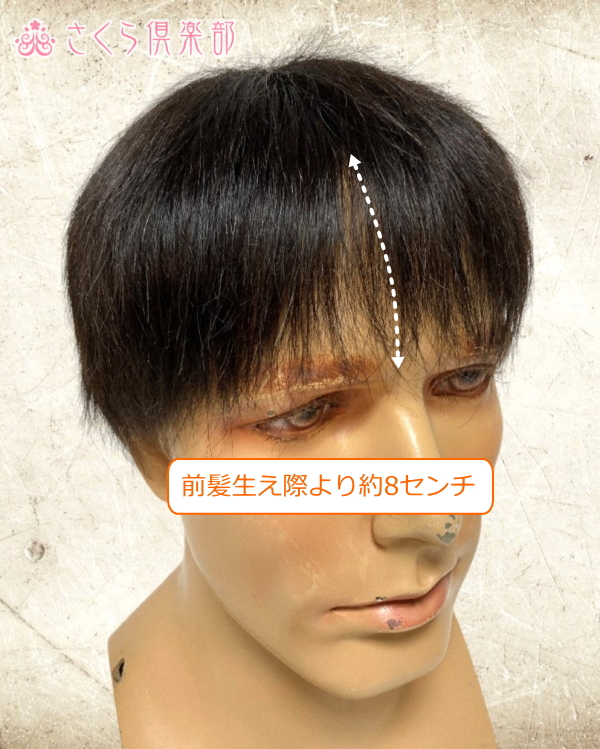 男性用メンズ部分ウィッグ人毛100% ショートスタイル Mサイズ・Lサイズ 