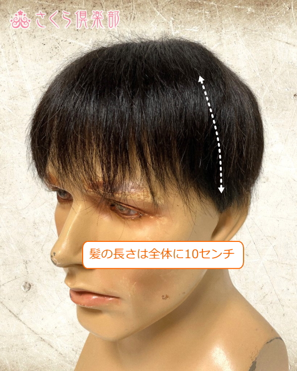 カット済み)メンズ ウィッグ 男性用 かつら ウィッグ ショート（メンズ 