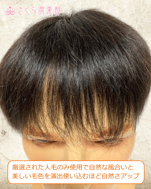 メンズ 男性用 御座い かつら ウィッグ ショート ストレート 100%人毛 