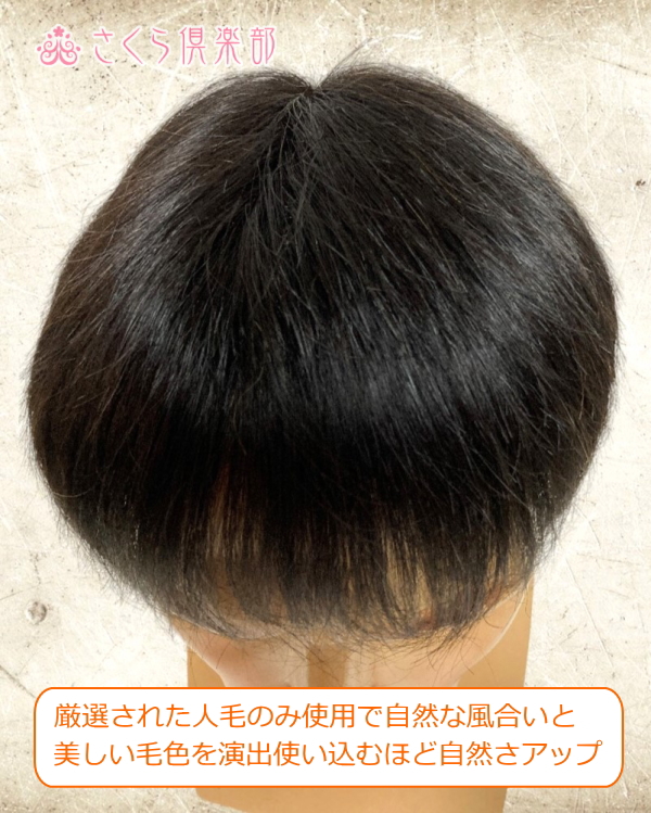 男性用メンズ部分ウィッグ人毛100% ショートスタイル Mサイズ・Lサイズ 