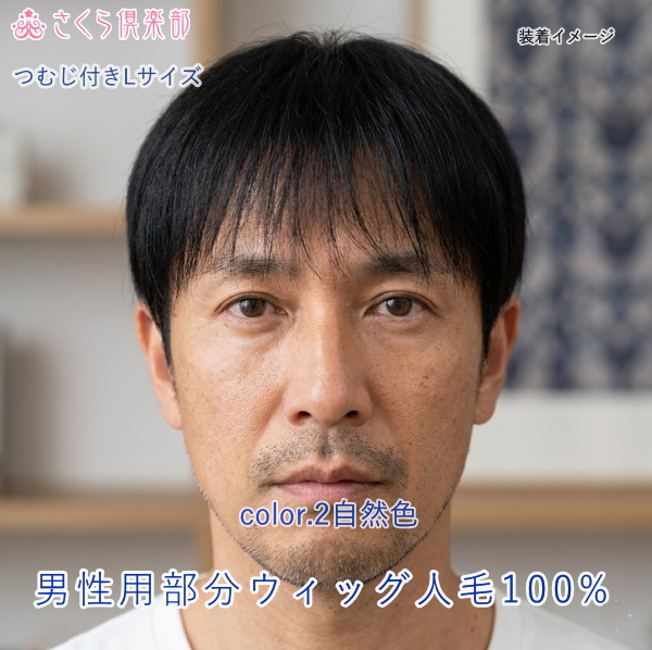 人毛100% 男性用部分ウィッグM. Lサイズ各種（top-300）ショートつむじ付き