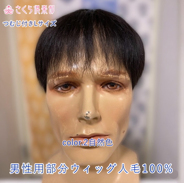 人毛100% 男性用部分ウィッグM. Lサイズ各種（top-300）ショートつむじ付き