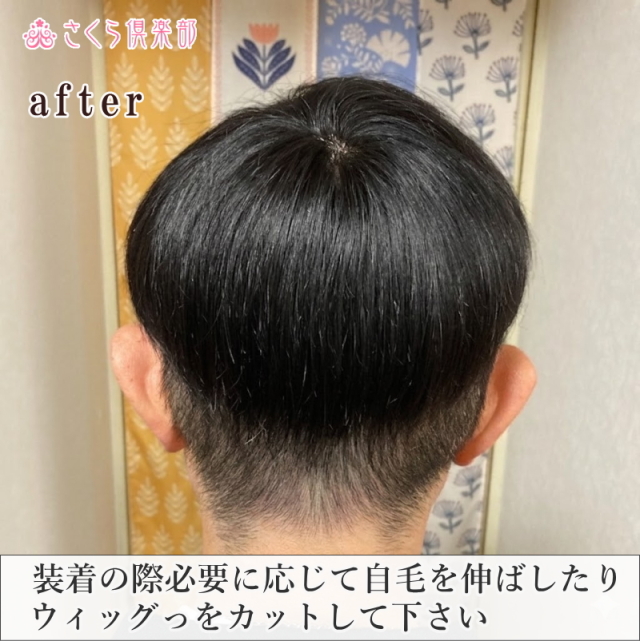 男性用メンズ部分ウィッグ人毛100% top-500・左分けショートLサイズ