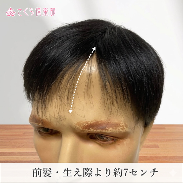 男性用メンズ部分ウィッグ人毛100% top-500・左分けショートLサイズ
