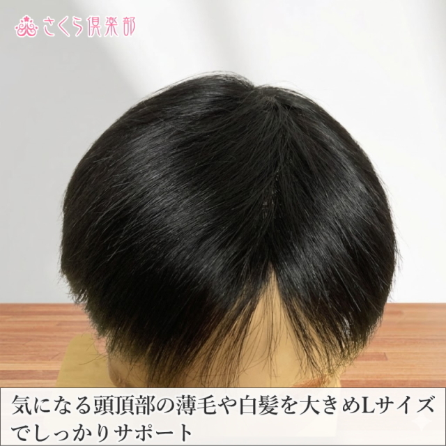 男性用メンズ部分ウィッグ人毛100% top-500・左分けショートLサイズ