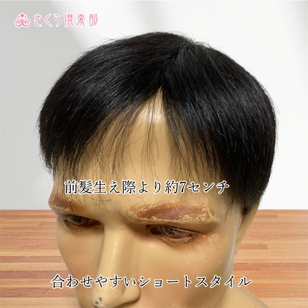 男性用メンズ部分ウィッグ人毛100% 左分けショートL top-500 医療用に