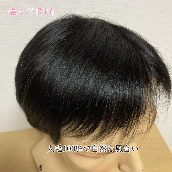 男性用メンズ部分ウィッグ人毛100% 左分けショートL top-500 医療用に