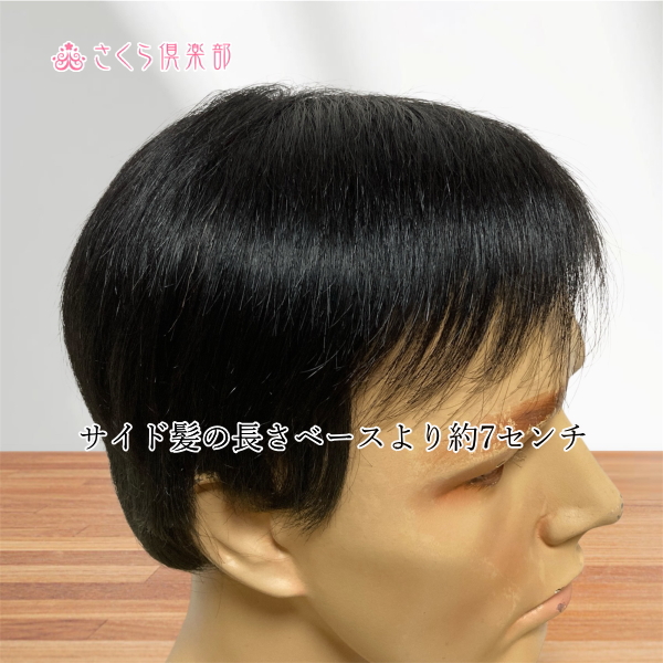 男性用メンズ部分ウィッグ人毛100% 左分けショートL top-500 医療用に