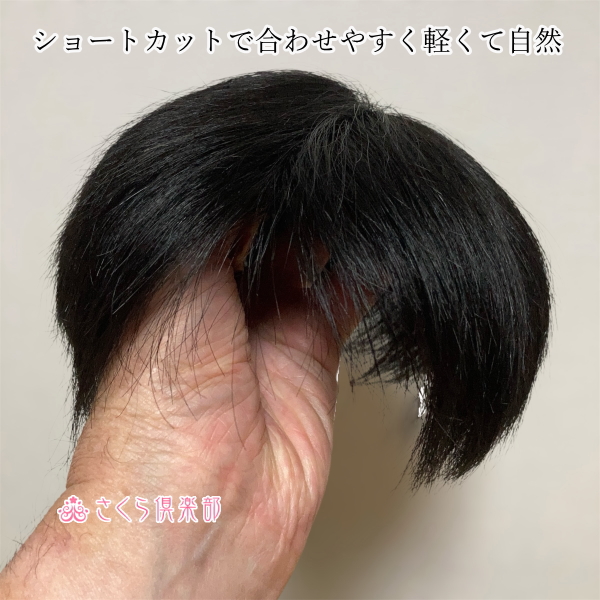 男性用メンズ部分ウィッグ人毛100% 左分けショートL top-500 医療用に