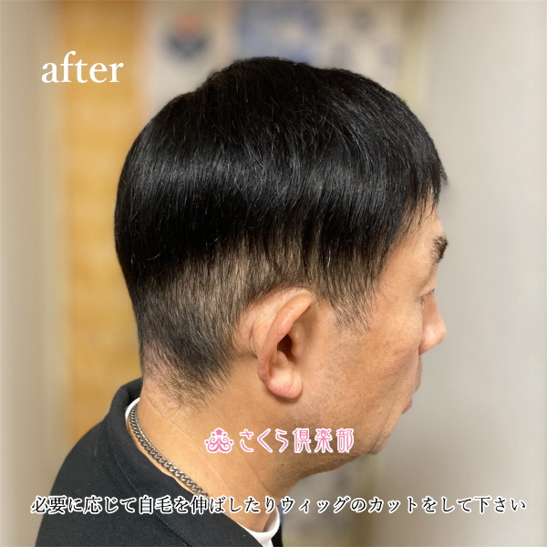 男性用メンズ部分ウィッグ人毛100% top-500・左分けショートLサイズ