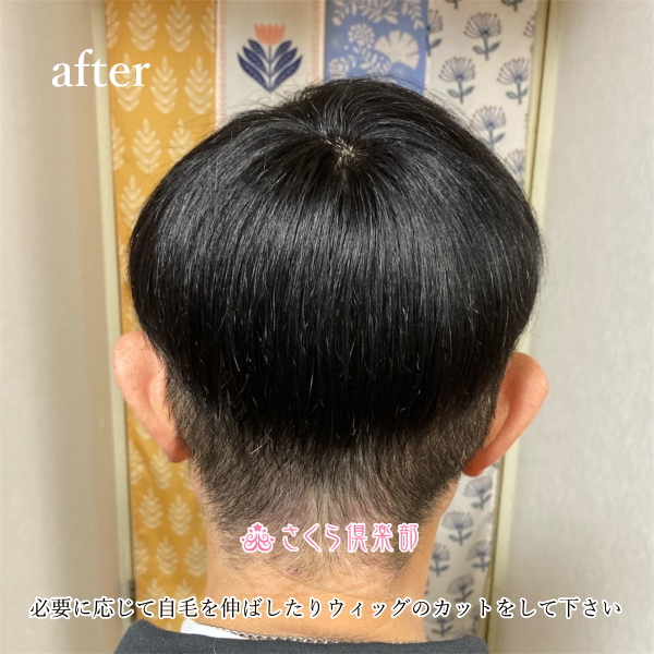 男性用メンズ部分ウィッグ人毛100% top-500・左分けショートLサイズ