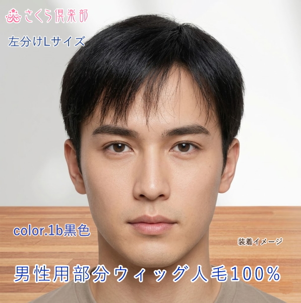 男性用メンズ部分ウィッグ人毛100%  top-500・左分けショートLサイズ つむじ付き