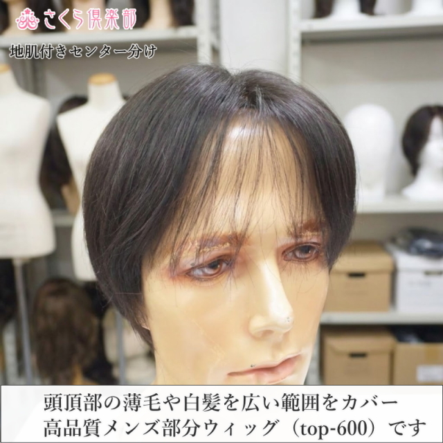 人毛100%男性用部分ウィッグ Lサイズ top-600総手植え製 センター分け