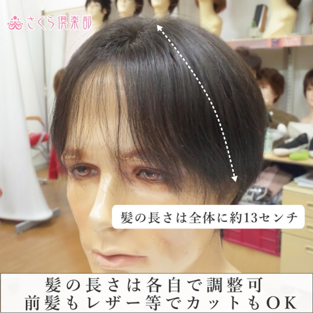 人毛100%男性用部分ウィッグ Lサイズ top-600総手植え製 センター分け