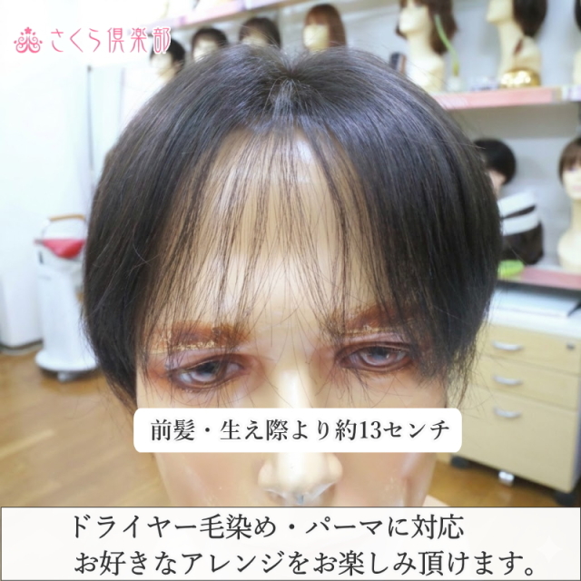 人毛100%男性用部分ウィッグ Lサイズ top-600総手植え製 センター分け