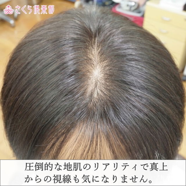 人毛100%男性用部分ウィッグ Lサイズ top-600総手植え製 センター分け