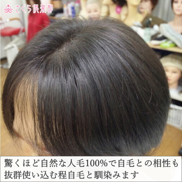 人毛100%男性用部分ウィッグ Lサイズ top-600総手植え製 センター分け