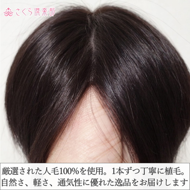 人毛100%男性用部分ウィッグ Lサイズ top-600総手植え製 センター分け