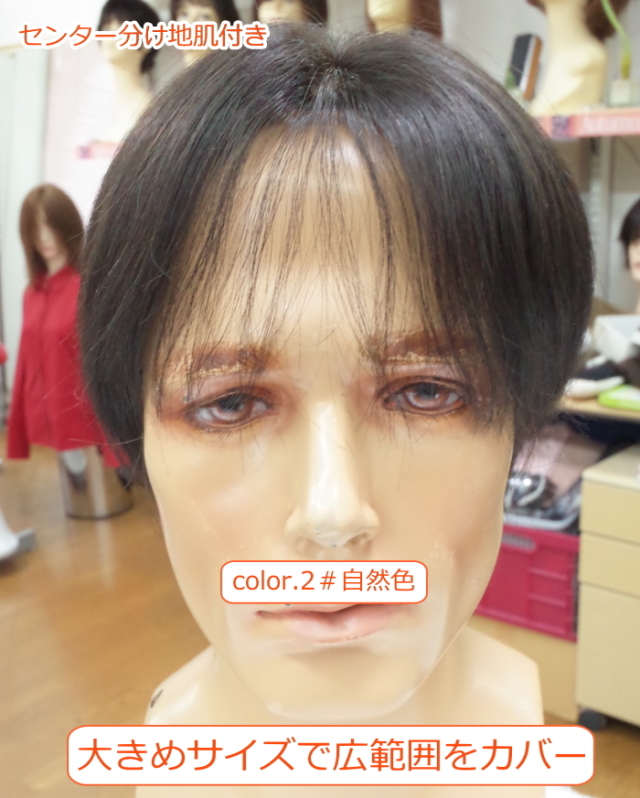 送料無料 即納 人毛100 自然 男性用 リアル全総手植えワイドヘアピース ショートストレート Labelians Fr
